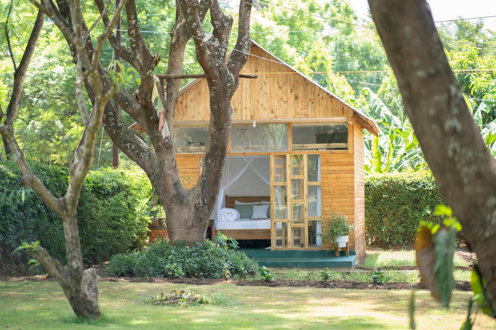 Mkoani Homestay Moshi Eksteriør bilde